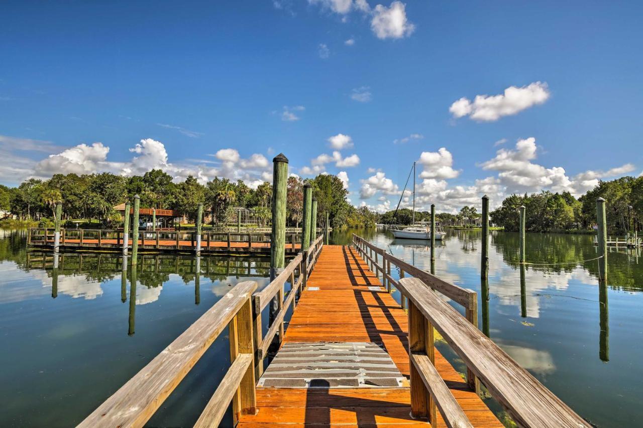 Crystal River House Scalloping And Dock, Gulf 7 Mi! Exterior photo